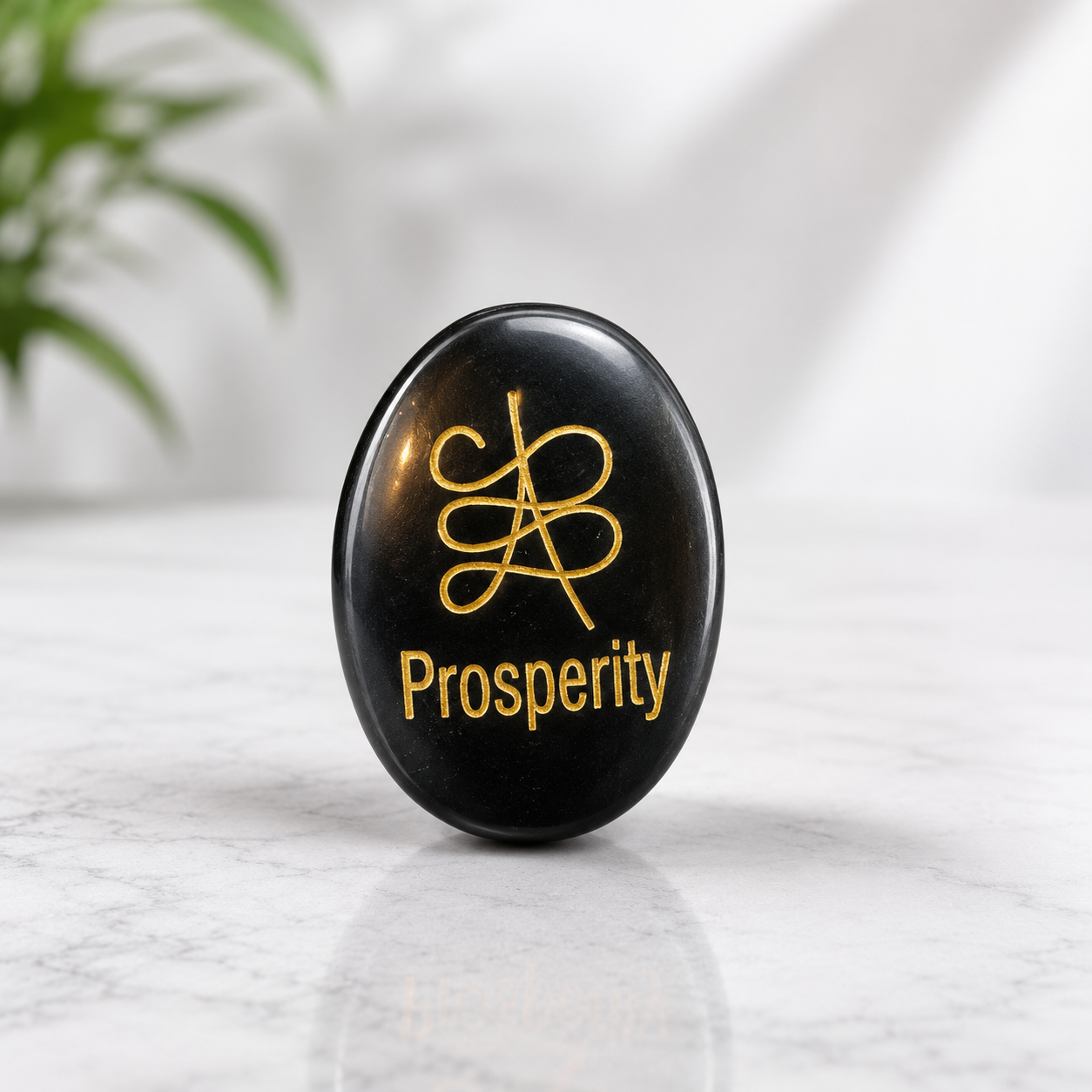 Black Tourmaline Zebu Coin