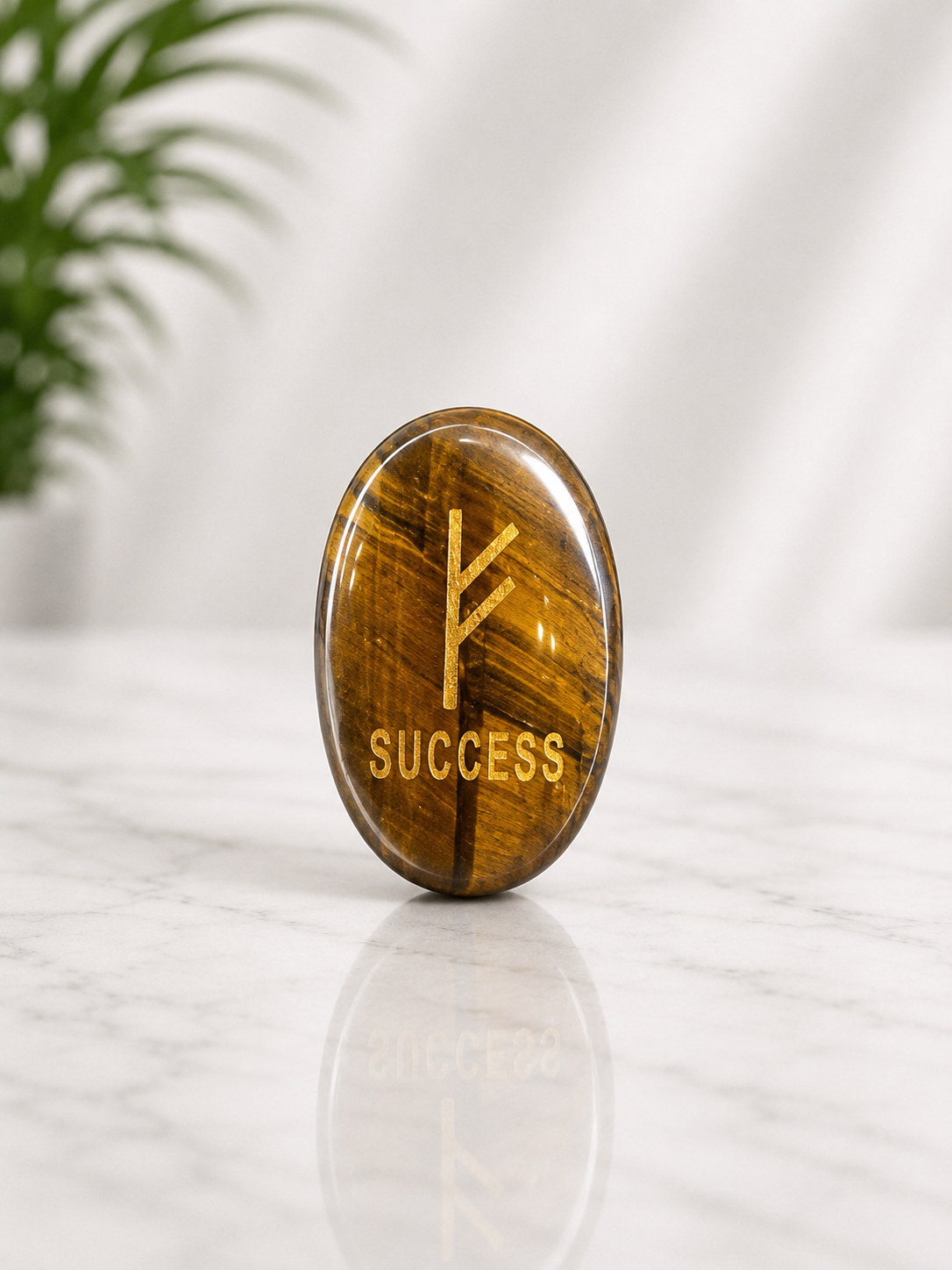 Tiger's Eye Zebu Coin
